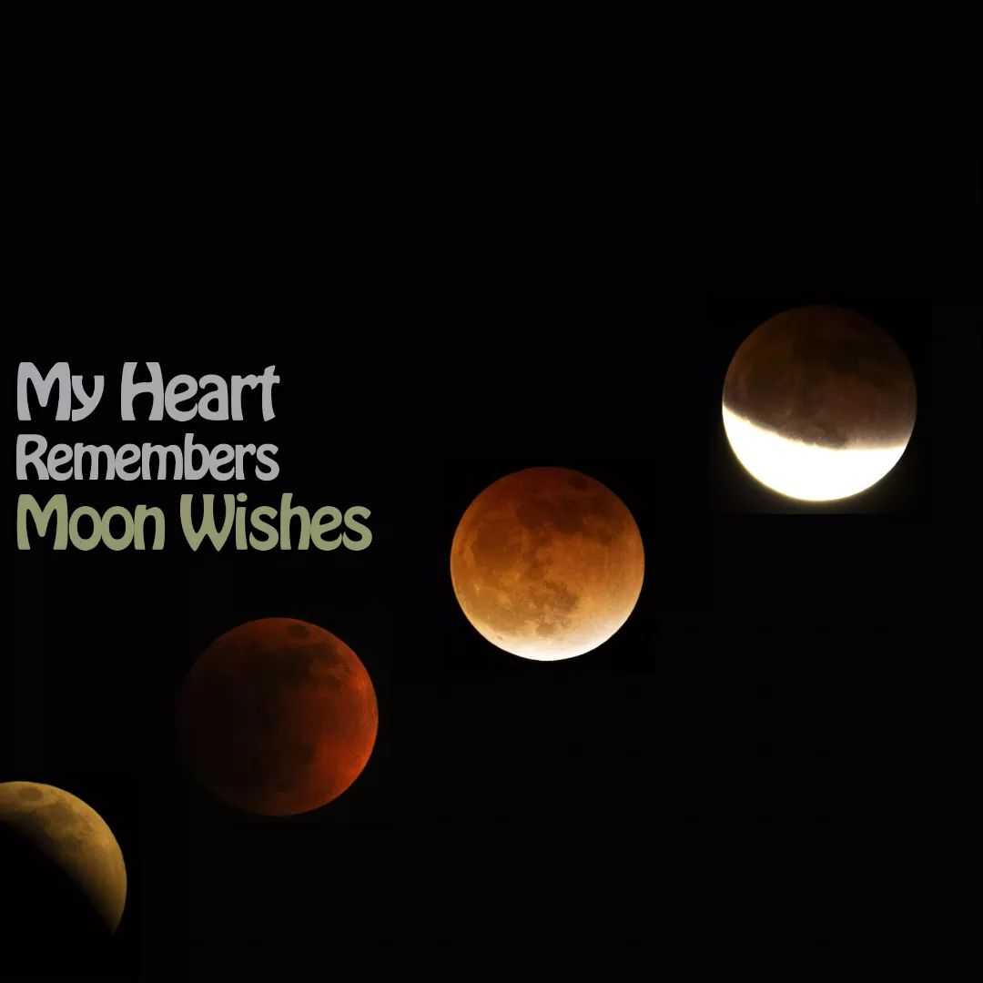 This week's episode of My Heart Remembers podcast...
Last night we watched the moon rise, and talked about what it really means and how it affects us. Join us, for crickets and moonbeams.

Please like, share and sit back, relax and enjoy... LINK IN BIO 

#podcast #myheartremembers #myheartrememberspodcast #podcasts #moon #supermoon #fullmoon #laluna #love #wisdom #understanding #laugher #magick #mundane